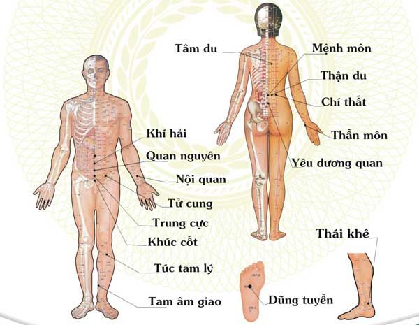 Các huyệt đạo chính trên cơ thể