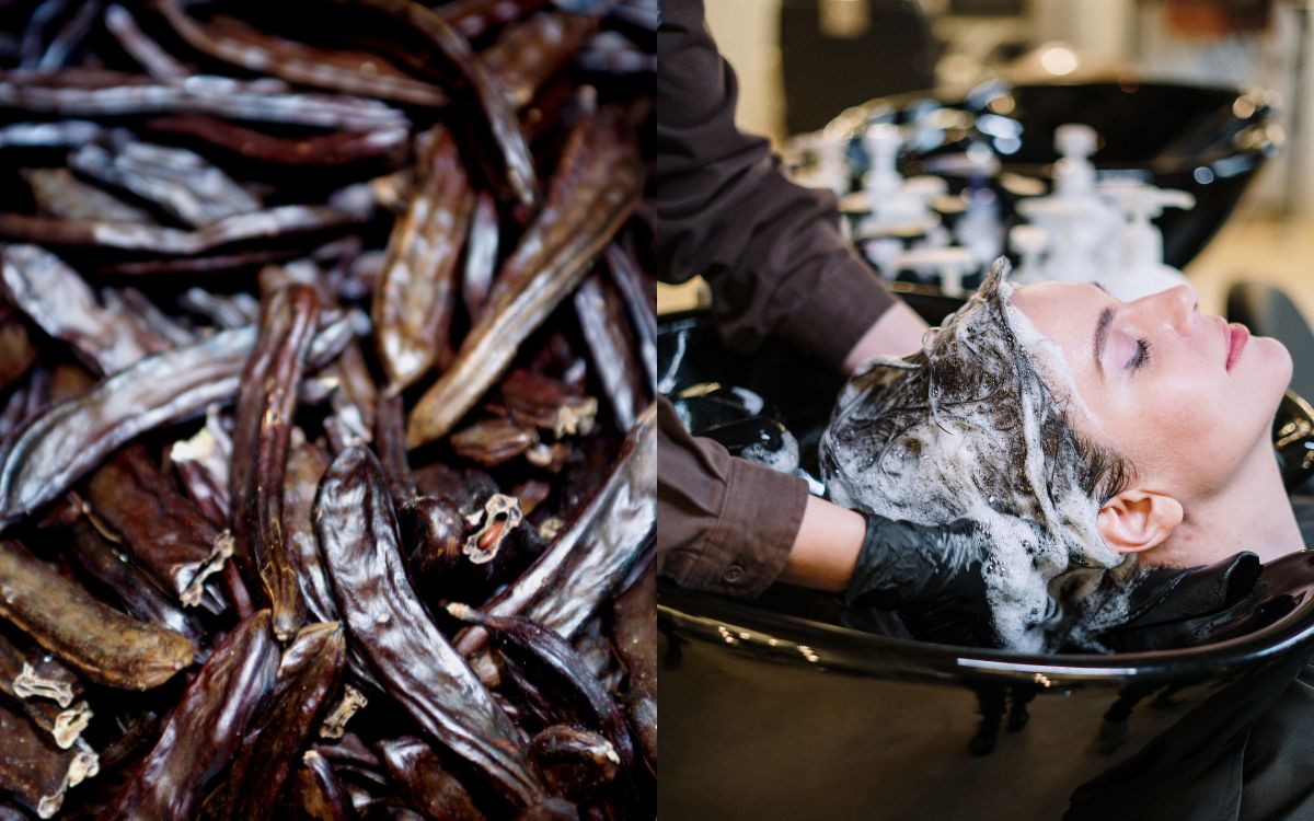 Nên gội đầu bằng bồ kết 2 - 3 lần 1 tuần