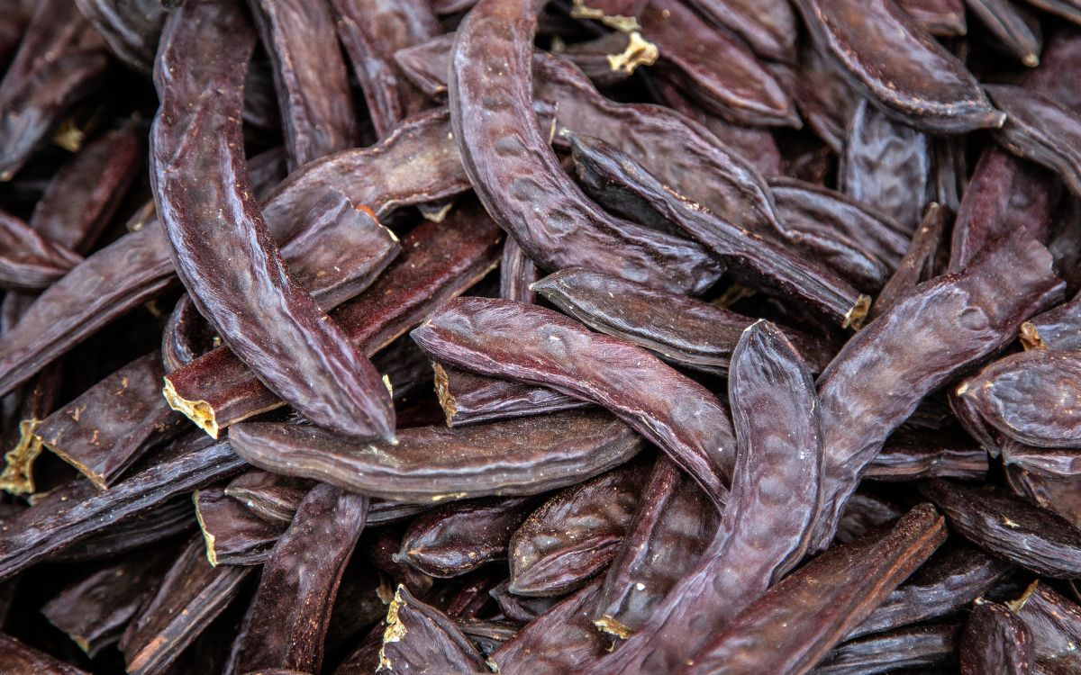 Cách gội đầu bằng bồ kết