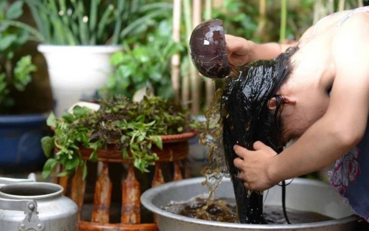 Thực hiện gội đầu bằng bồ kết