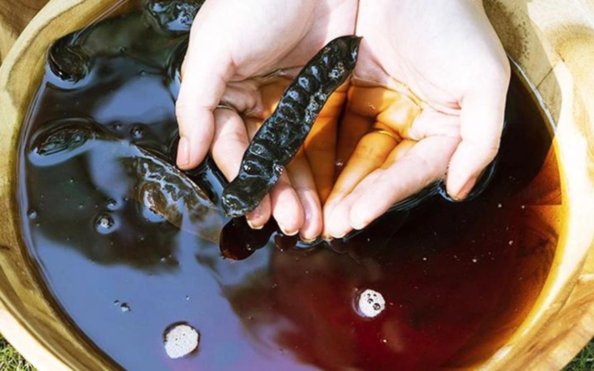 Nấu nước bồ kết gội đầu