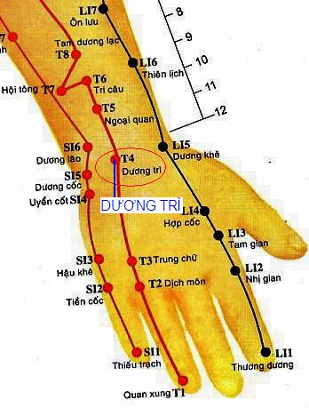 Ấn huyệt Dương Trì chữa đau khớp tay hiệu quả