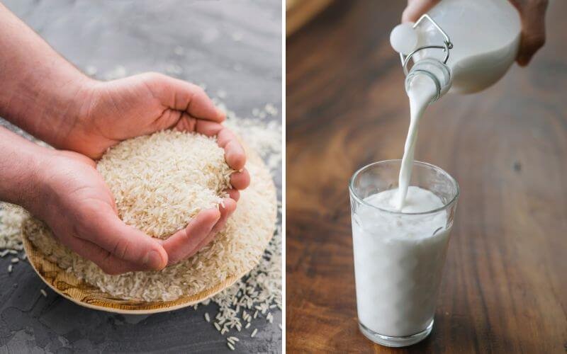 Làm Lông Nách Tự Rụng Có Được Không? Top 8 Cách Thực Hiện Đơn Giản 4 Người cầm gạo trong tay; sữa được rót vào ly từ chai thủy tinh.