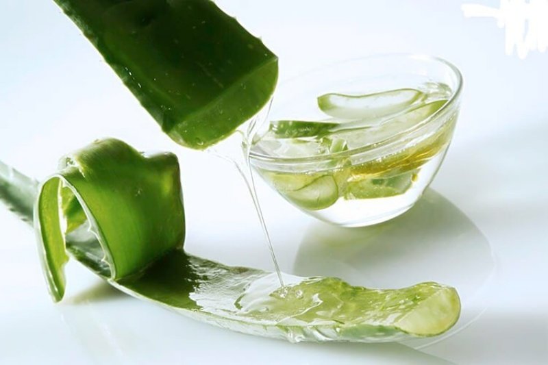 Lá nha đam với gel trong suốt đang chảy, bên cạnh là chén nhỏ chứa gel nha đam.