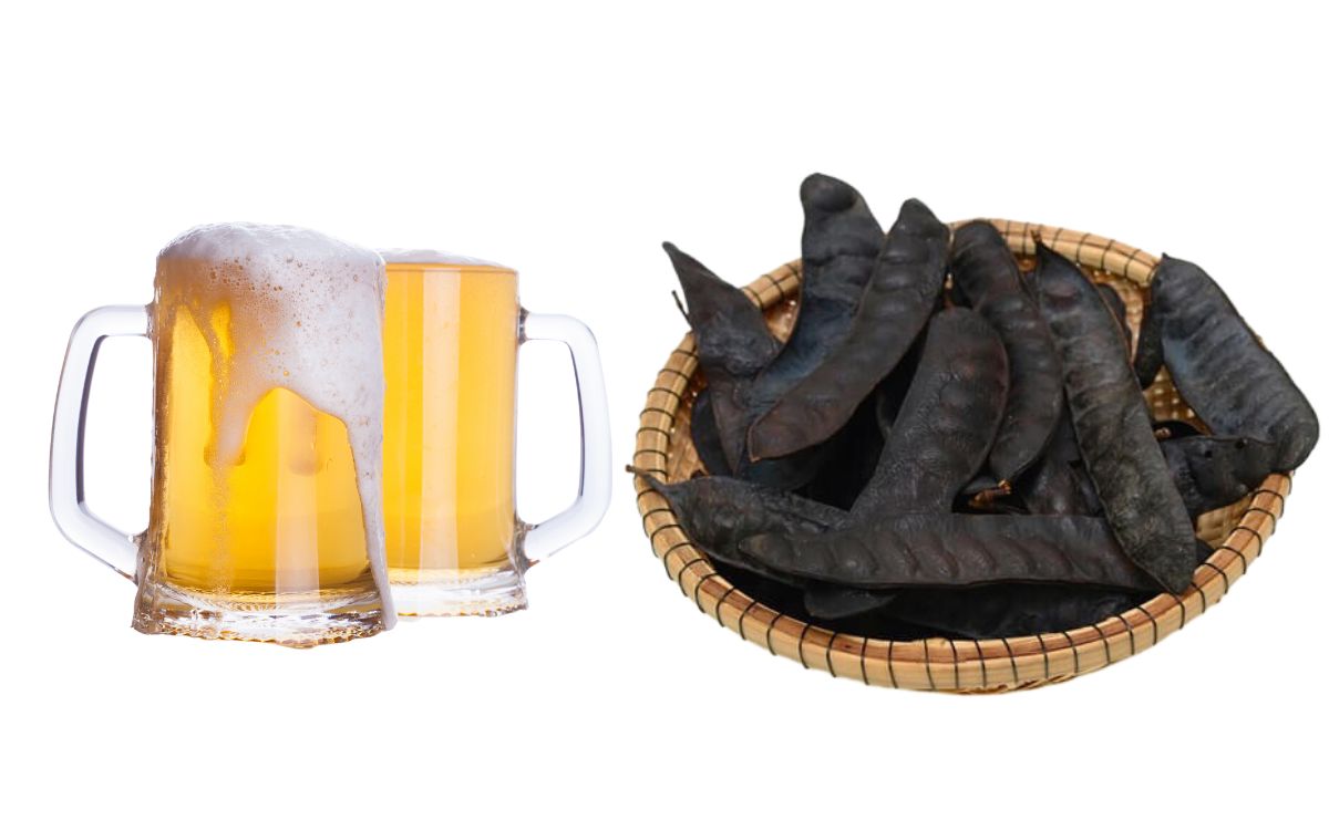 Sự kết hợp giữa bia và bồ kết mang lại mái tóc đen bóng, suôn mượt và chống nấm da đầu hữu hiệu