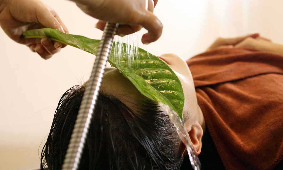 Khỏe massage Cà Mau - địa chỉ gội đầu dưỡng sinh Cà Mau