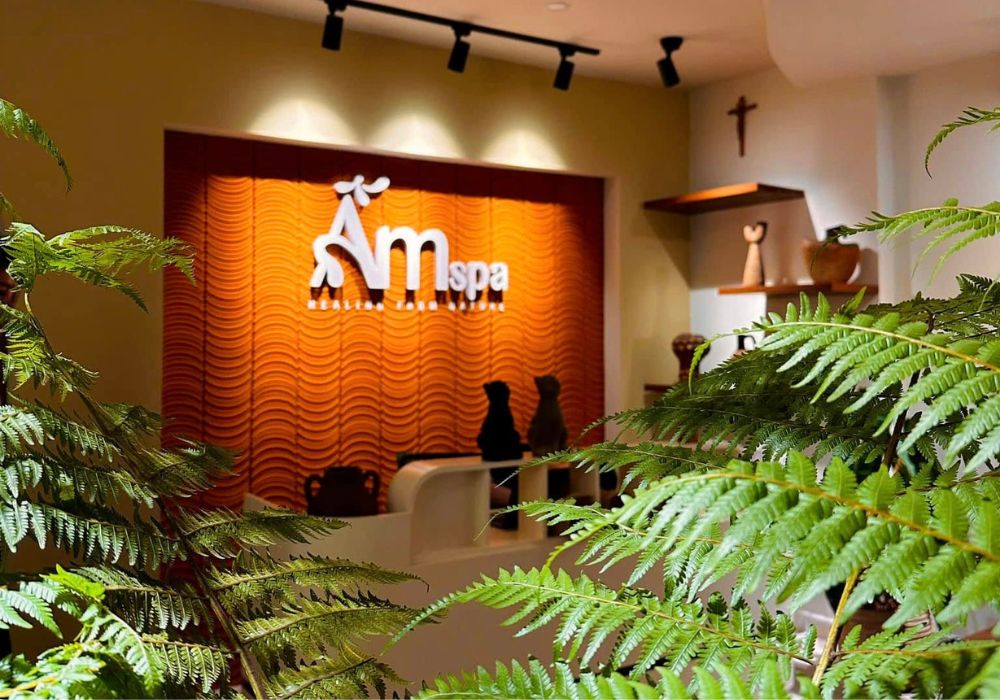 Ấm Spa - Nấu Trái Bồ Kết Gội Đầu Dưỡng Sinh