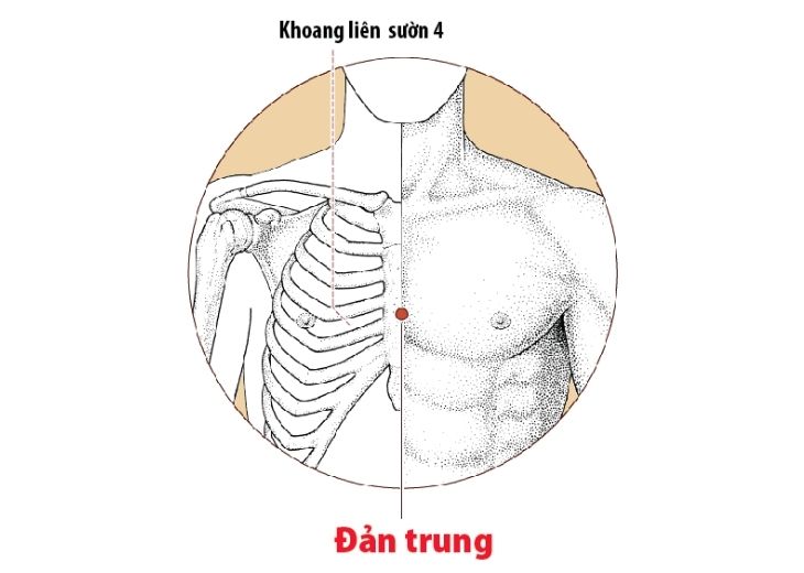Huyệt nằm tại điểm giao giữa đường giữa của xương ức và đường nối qua hai núm vú (nam giới) hoặc ngang bờ trên khớp xương ức thứ 5 (nữ giới)