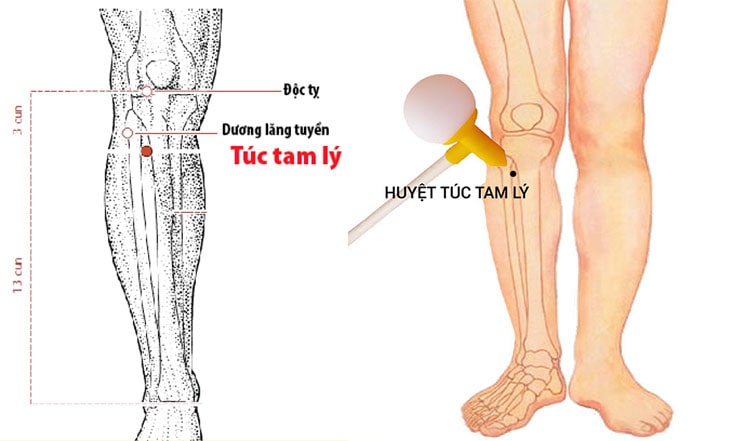 Ngồi trên ghế sao cho cẳng chân và đùi tạo thành 1 góc 90 độ xác định huyệt độc tỵ ( chỗ lõm phía trước ngoài của đầu gối ). Từ đây đo thẳng xuống 3 thốn và cách xương chày một khoát ngón tay là huyệt. Hoặc đặt lòng bàn tay lên giữa đầu gối, ngón tay chạm xương ống chân rồi dịch ra ngoài một chút là huyệt.