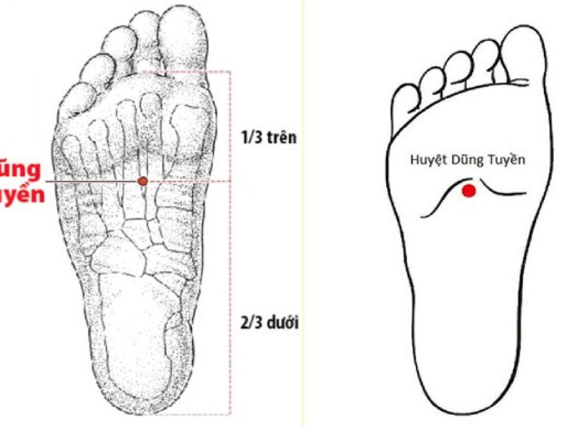 Huyệt nằm ở lòng bàn chân, kẻ đường từ đỉnh ngón chân thứ hai tới cuối gót chân, chia làm 5 phần bằng nhau, huyệt ở vị trí từ 2/5 trên đến 3/5 dưới của bàn chân ngay chỗ lõm.