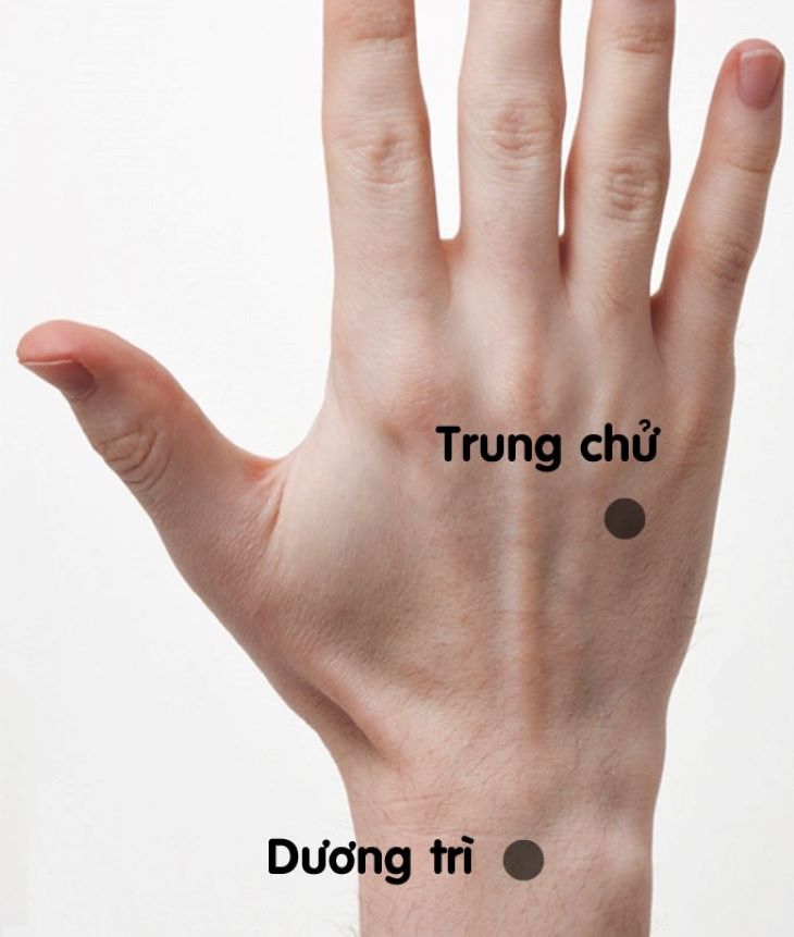 Vị trí huyệt Dương Trì