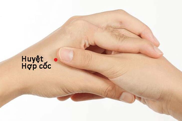 Huyệt nằm giữa xương đốt bàn tay 1 và 2 phía mu bàn tay
