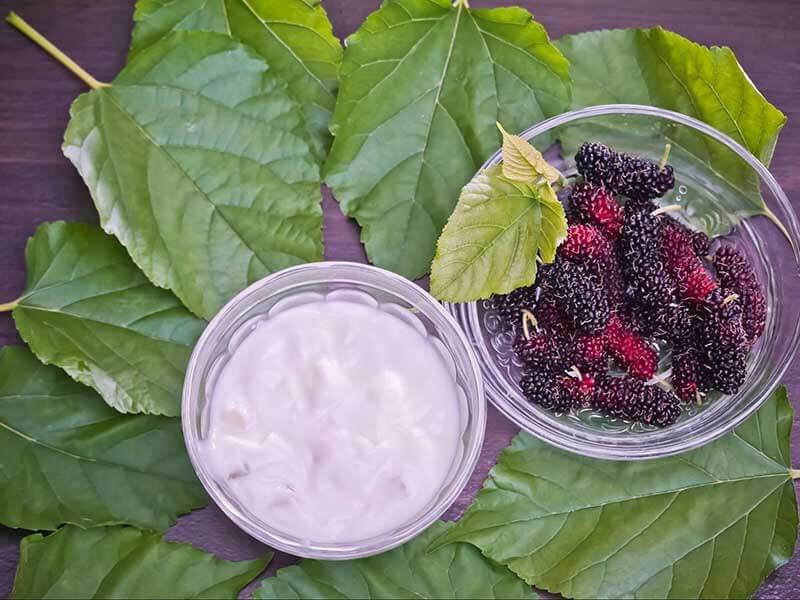 Bát sữa chua và đĩa dâu tằm trên nền lá xanh, bày trí trên mặt bàn gỗ.