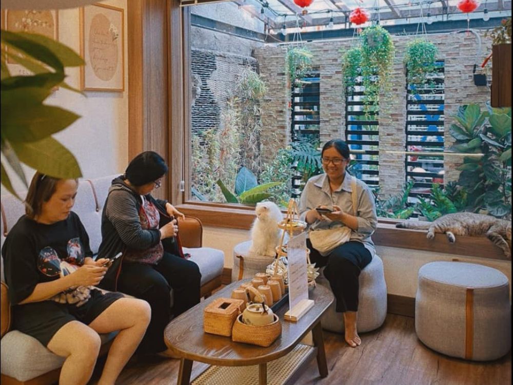 The Heal Spa