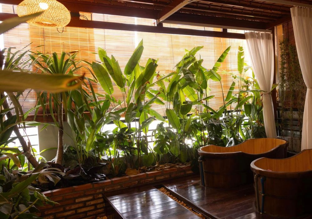 Massage Ân Nam