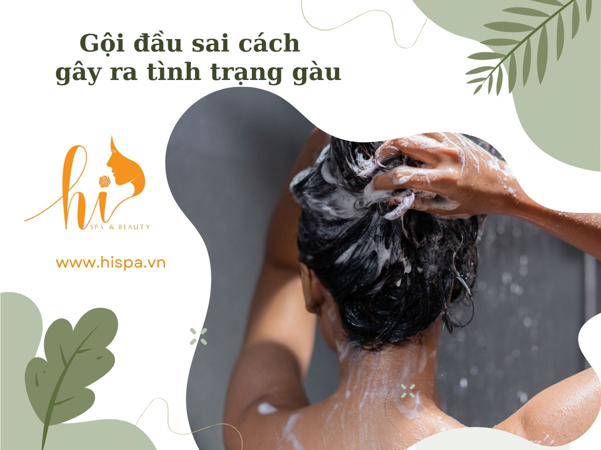 tai-sao-goi-dau-xong-co-gau-va-van-ngua-2-1