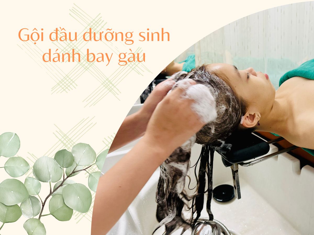tai-sao-goi-dau-xong-co-gau-va-van-ngua-8 Gội đầu dưỡng sinh là cách trị gàu và ngứa da đầu rất hiệu quả
