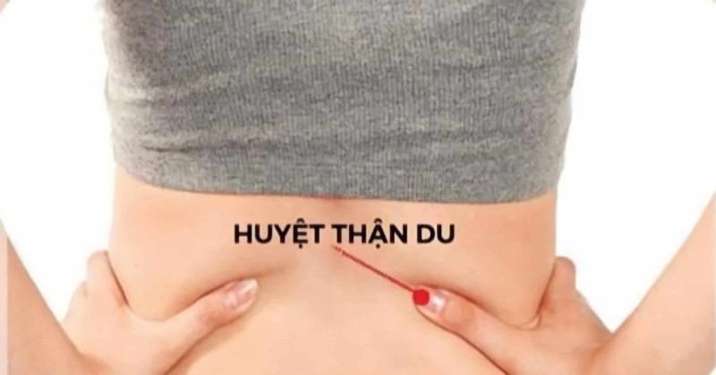 Huyệt thận du
