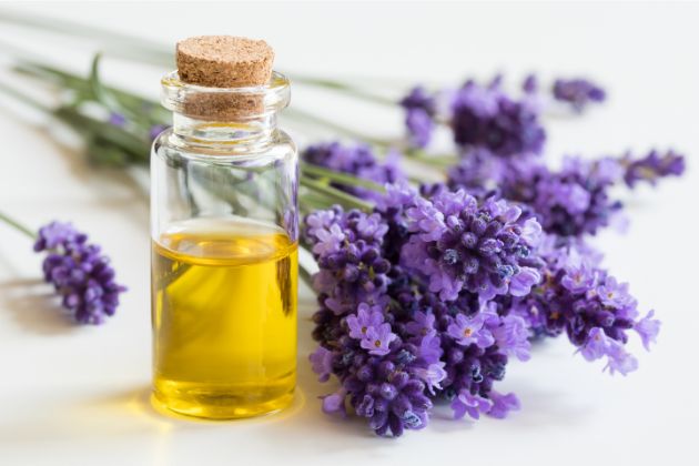 Tinh dầu hoa oải hương (Lavender)