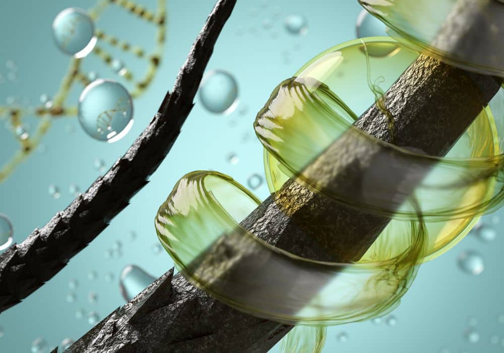 Cải thiện tình trạng tóc hư tổn do hóa chất